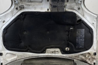 Capot RENAULT KANGOO 1