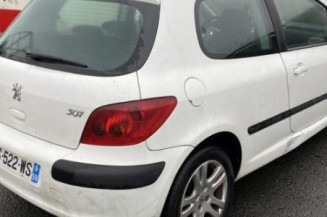 Jante PEUGEOT 307