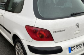 Jante PEUGEOT 307
