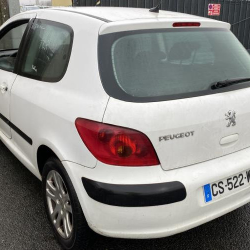 Jante PEUGEOT 307 Photo n°7