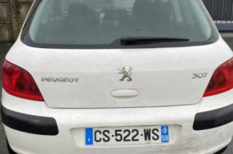 Jante PEUGEOT 307