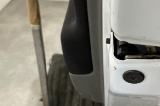 Porte arriere droit RENAULT SCENIC 2