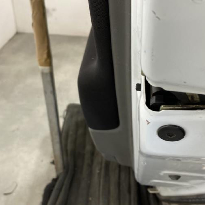 Porte arriere droit RENAULT SCENIC 2 Photo n°3