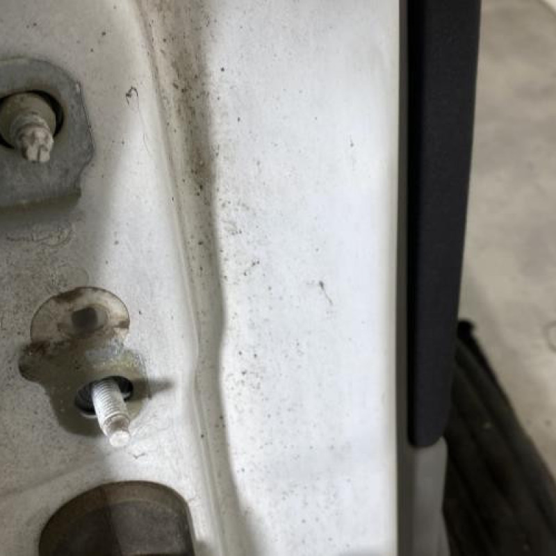 Porte arriere droit RENAULT SCENIC 2 Photo n°4