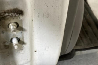 Porte arriere droit RENAULT SCENIC 2