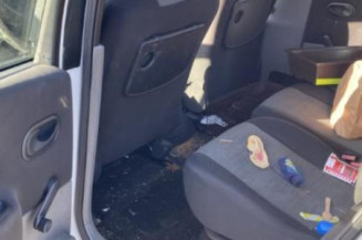 Porte arriere droit RENAULT SCENIC 2