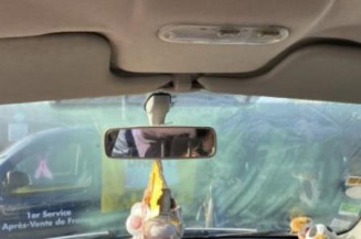 Porte arriere droit RENAULT SCENIC 2
