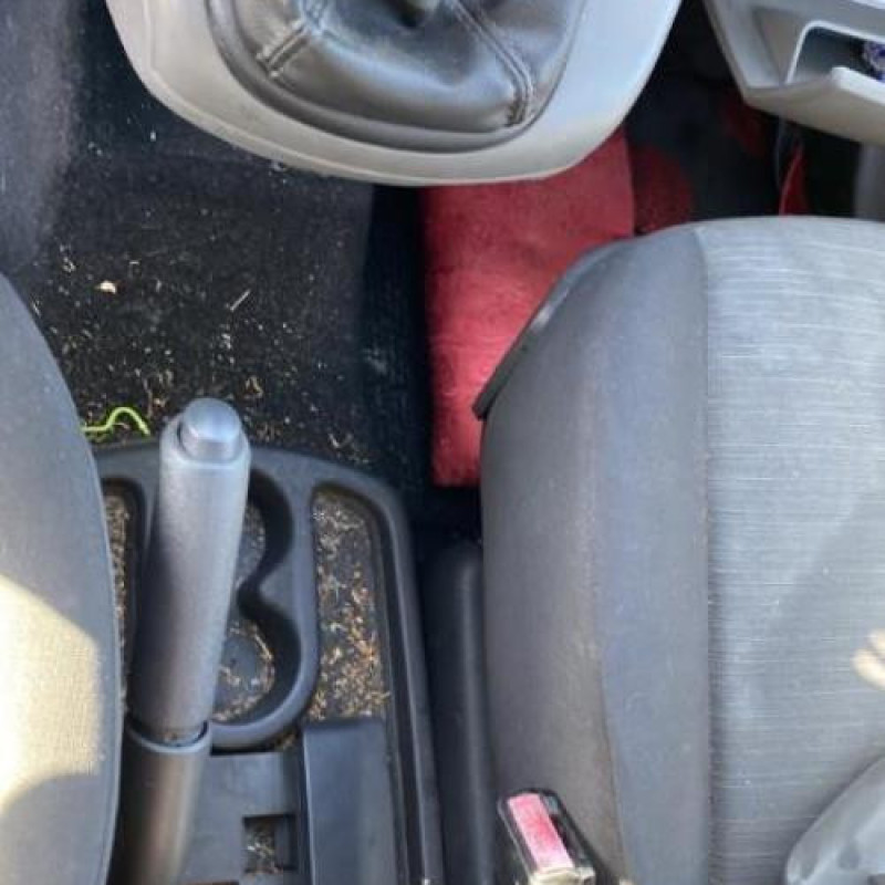 Porte arriere droit RENAULT SCENIC 2 Photo n°20