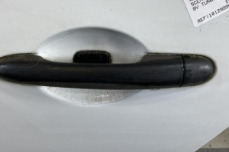 Porte arriere gauche RENAULT SCENIC 2