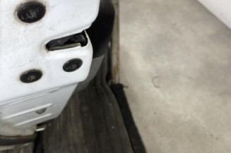 Porte arriere gauche RENAULT SCENIC 2
