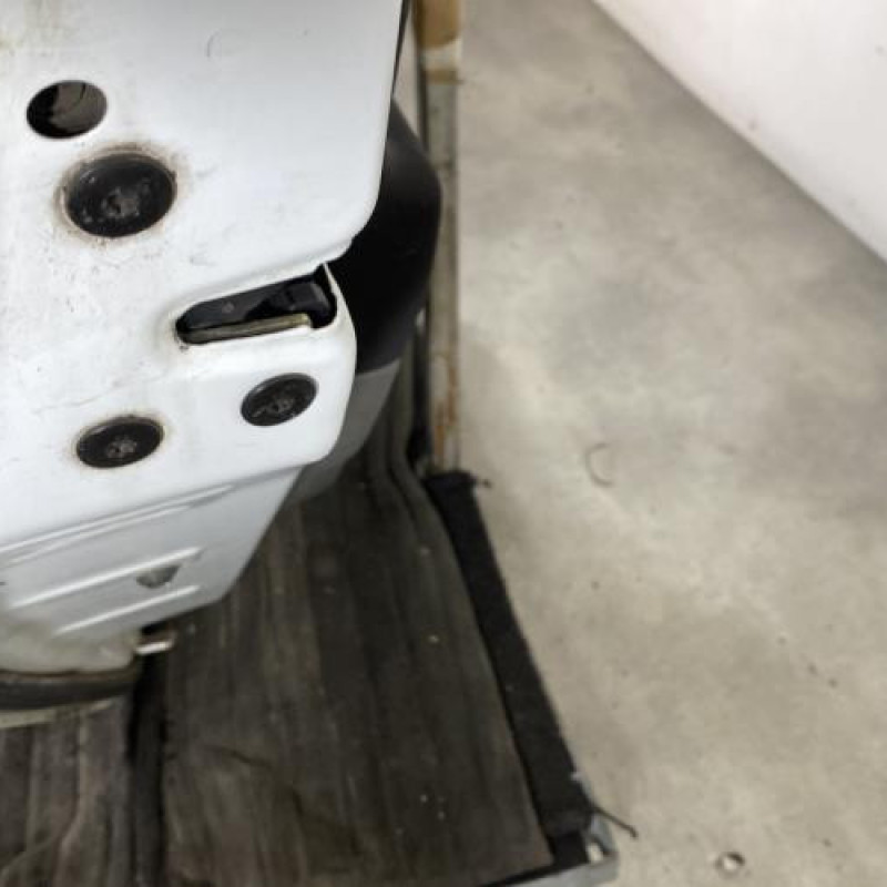 Porte arriere gauche RENAULT SCENIC 2 Photo n°3