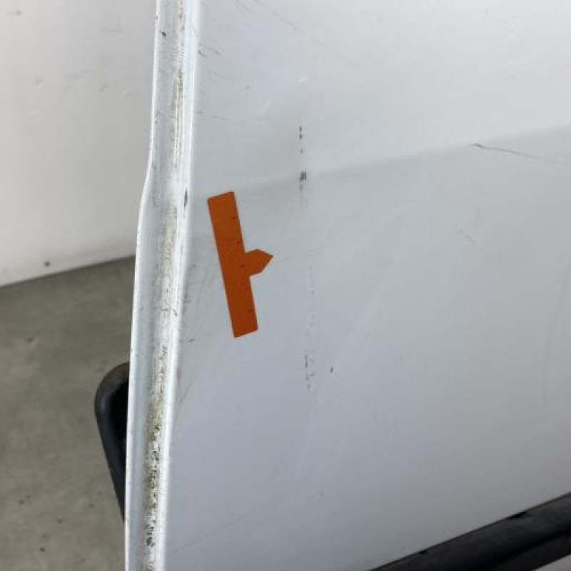 Porte arriere gauche RENAULT SCENIC 2 Photo n°4