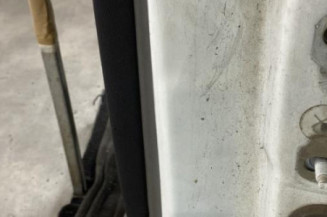 Porte arriere gauche RENAULT SCENIC 2
