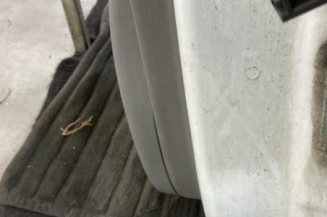 Porte arriere gauche RENAULT SCENIC 2