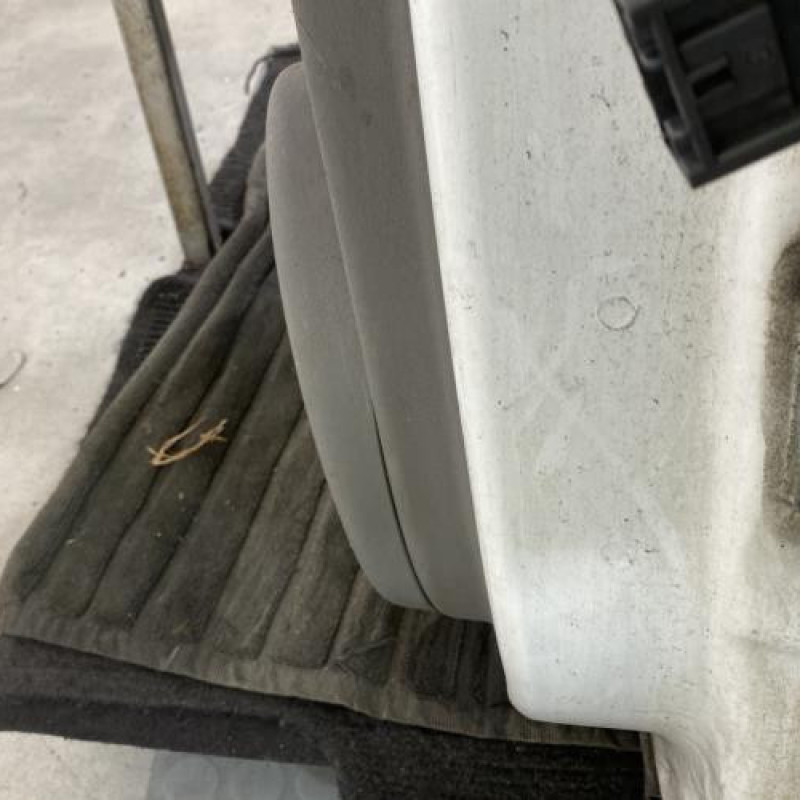 Porte arriere gauche RENAULT SCENIC 2 Photo n°6