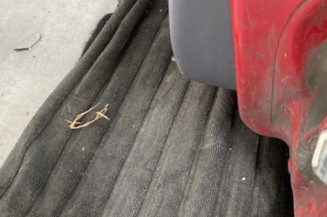 Porte arriere gauche CITROEN C1 1
