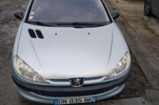 Vitre arriere droit PEUGEOT 206