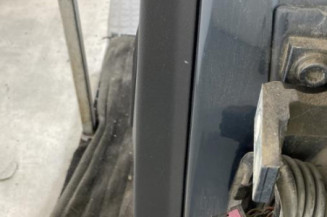 Porte arriere gauche VOLKSWAGEN GOLF 4