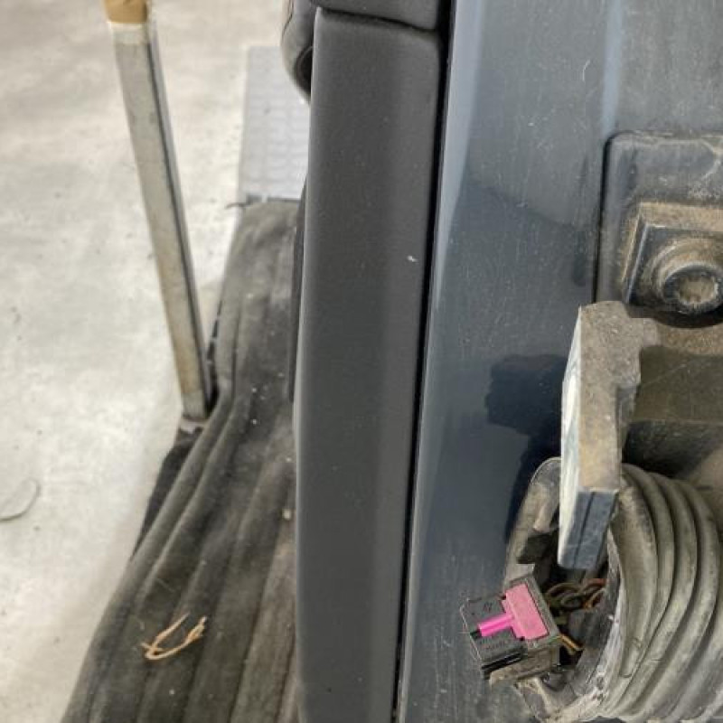 Porte arriere gauche VOLKSWAGEN GOLF 4 Photo n°4