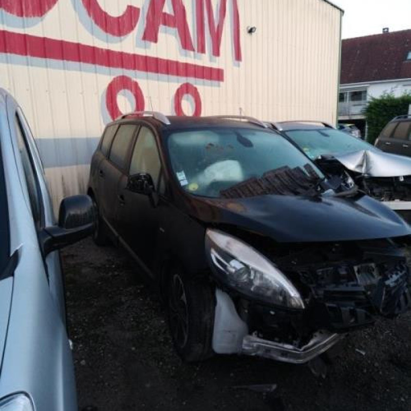 Pedalier d'embrayage RENAULT SCENIC 3 Photo n°9