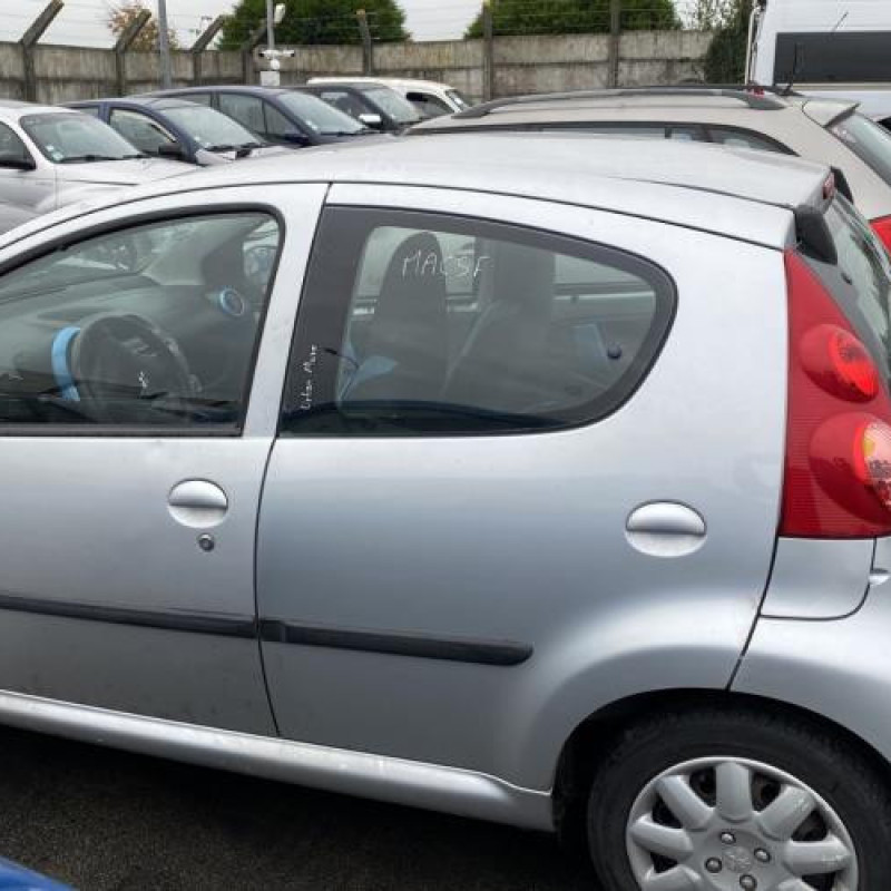 Porte avant gauche PEUGEOT 107 Photo n°13
