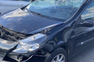 Vase de lave glace RENAULT CLIO 3