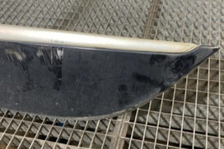 Baguette de porte arriere gauche  RENAULT SCENIC 3