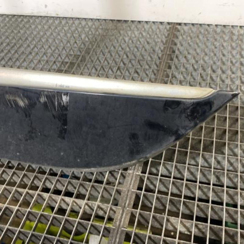 Baguette de porte arriere gauche  RENAULT SCENIC 3 Photo n°3