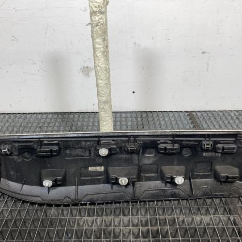 Baguette de porte arriere gauche  RENAULT SCENIC 3 Photo n°4