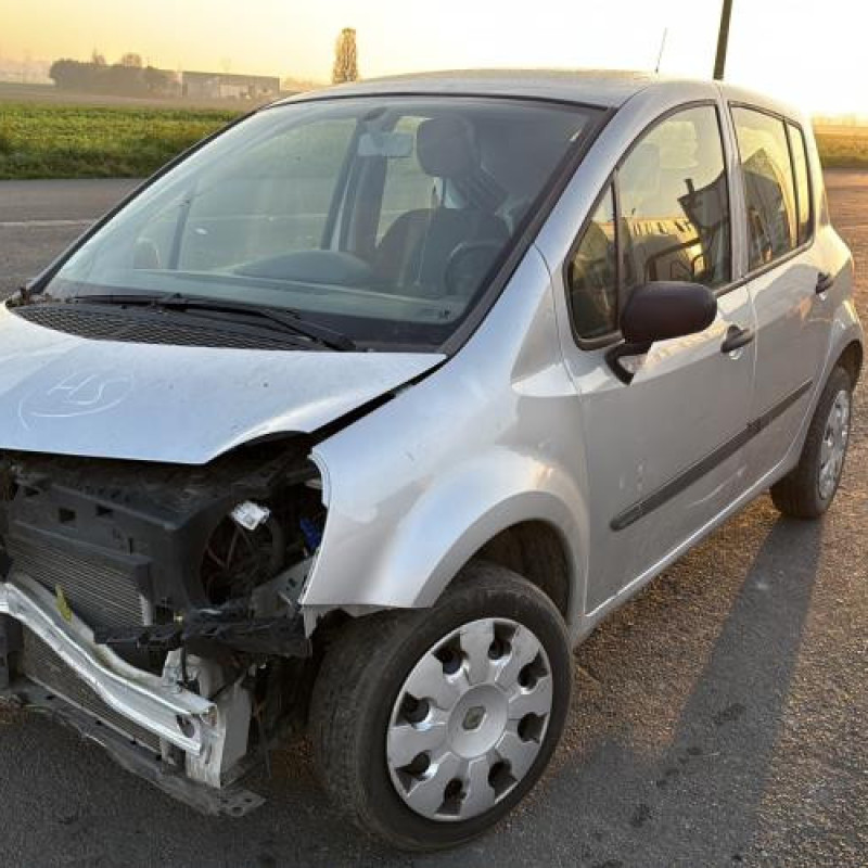 Vitre avant droit RENAULT MODUS Photo n°7