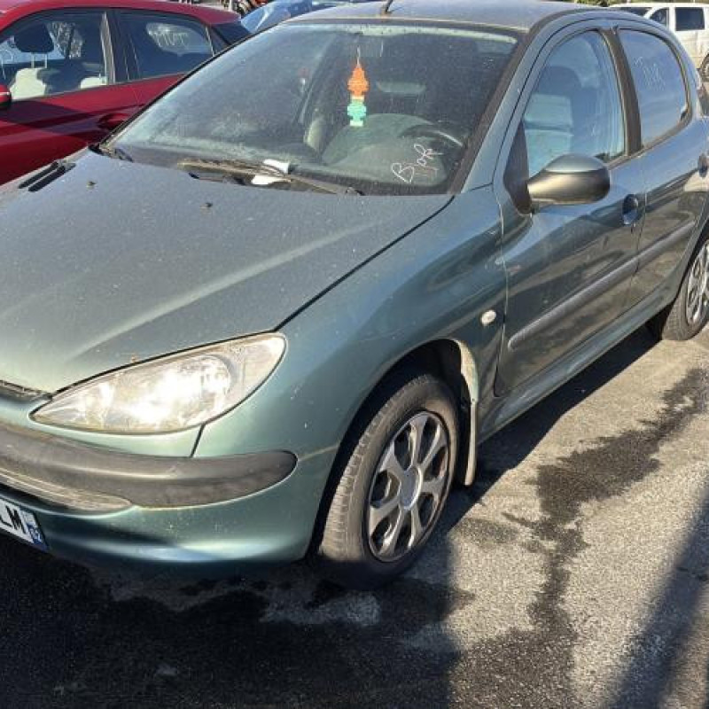 Glace retroviseur gauche PEUGEOT 206 Photo n°6