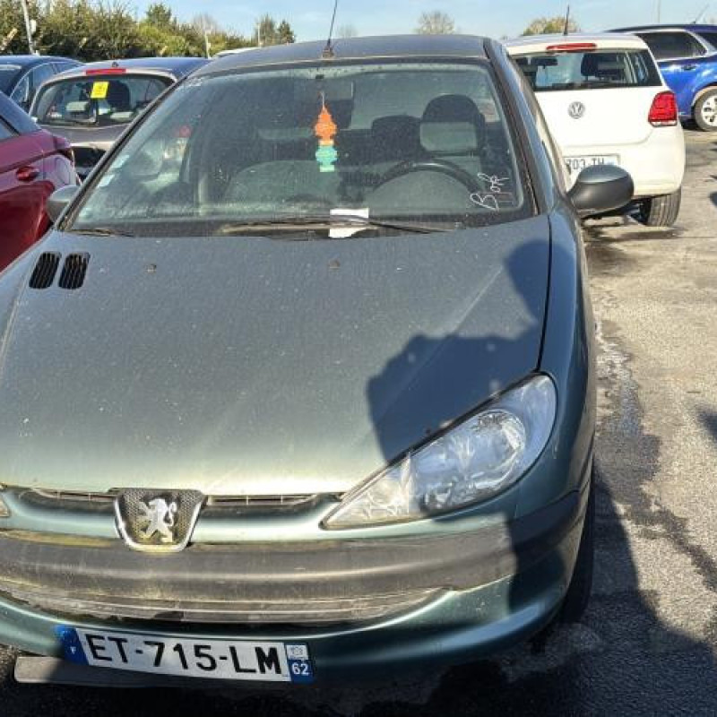 Glace retroviseur gauche PEUGEOT 206 Photo n°13