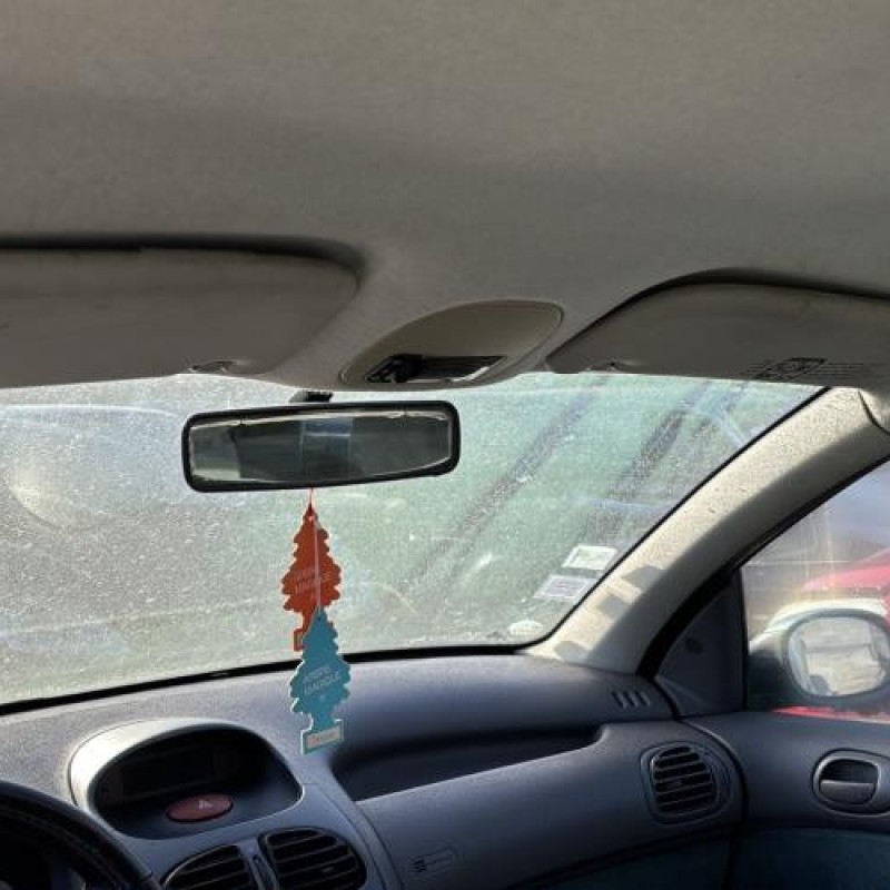 Glace retroviseur gauche PEUGEOT 206 Photo n°18