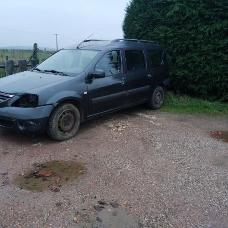 Porte arriere gauche DACIA LOGAN MCV 1 Photo n°8