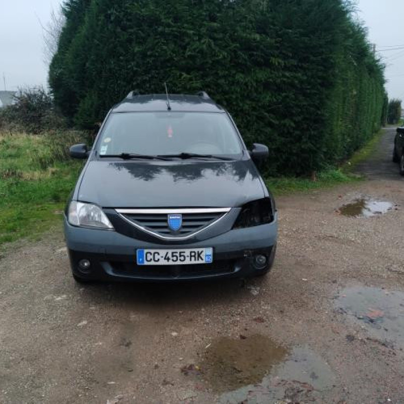 Porte avant droit DACIA LOGAN MCV 1 Photo n°7