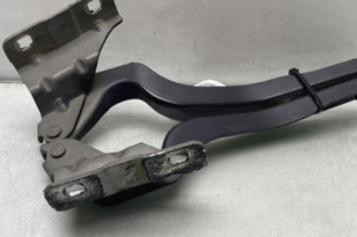 Charniere de capot NISSAN QASHQAI 1