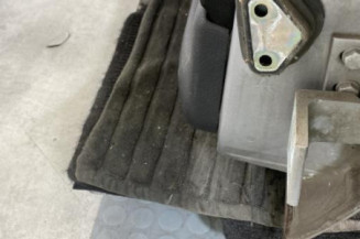 Porte arriere gauche PEUGEOT 406