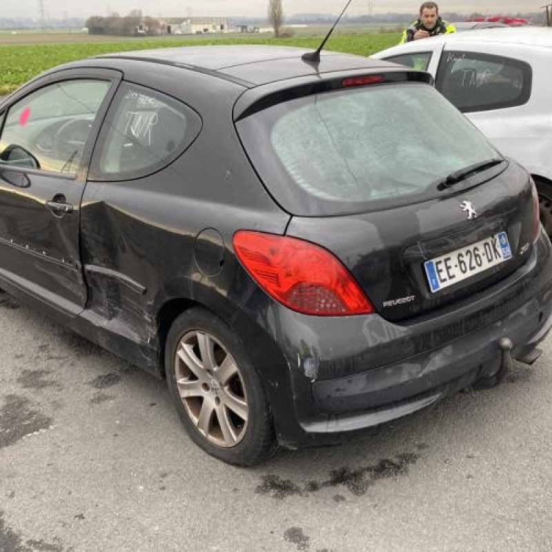 Pedalier d'accelerateur PEUGEOT 207 Photo n°7