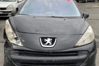 Pedalier d'accelerateur PEUGEOT 207