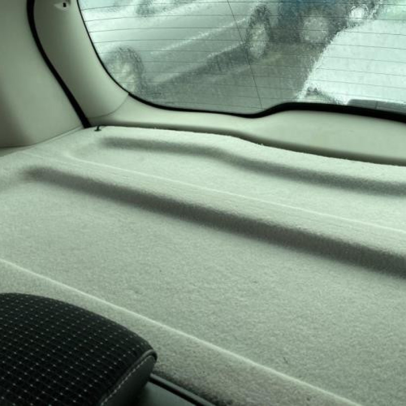 Etrier arriere droit (freinage) RENAULT SCENIC 3 Photo n°13