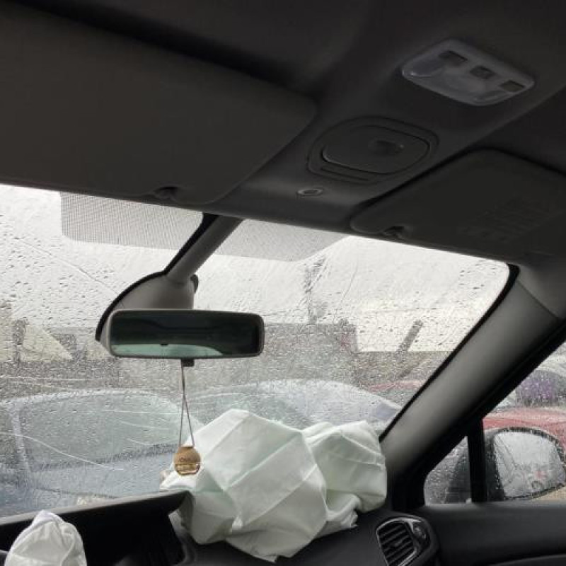 Etrier arriere droit (freinage) RENAULT SCENIC 3 Photo n°15