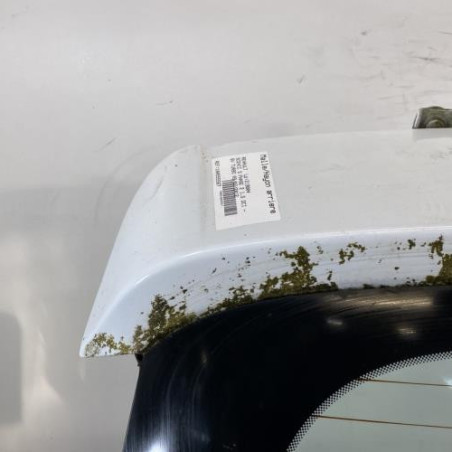 Malle/Hayon arriere RENAULT SCENIC 3