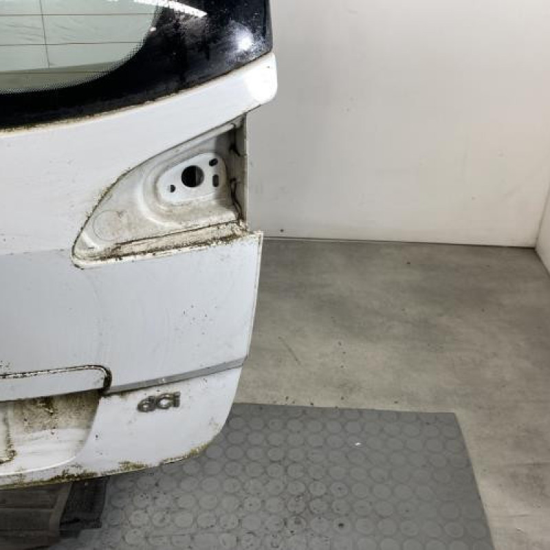 Malle/Hayon arriere RENAULT SCENIC 3 Photo n°4
