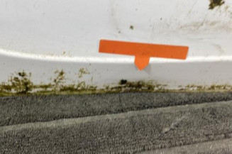 Malle/Hayon arriere RENAULT SCENIC 3