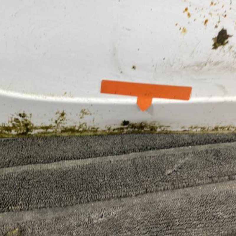 Malle/Hayon arriere RENAULT SCENIC 3 Photo n°6