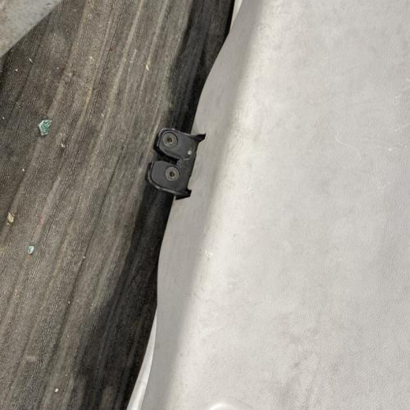 Malle/Hayon arriere RENAULT SCENIC 3 Photo n°12