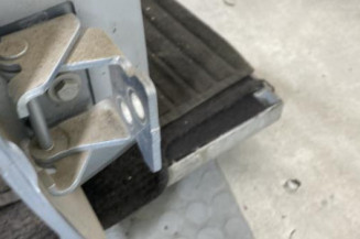 Porte arriere droit PEUGEOT 207