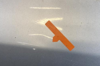 Porte arriere gauche SKODA FABIA 2