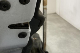 Porte arriere gauche SKODA FABIA 2