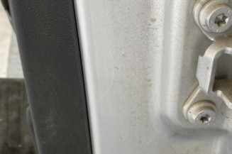 Porte arriere gauche SKODA FABIA 2